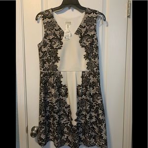 enfocus dresses at ross